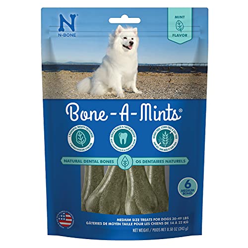 N-Bone® Bone-A-Mints®