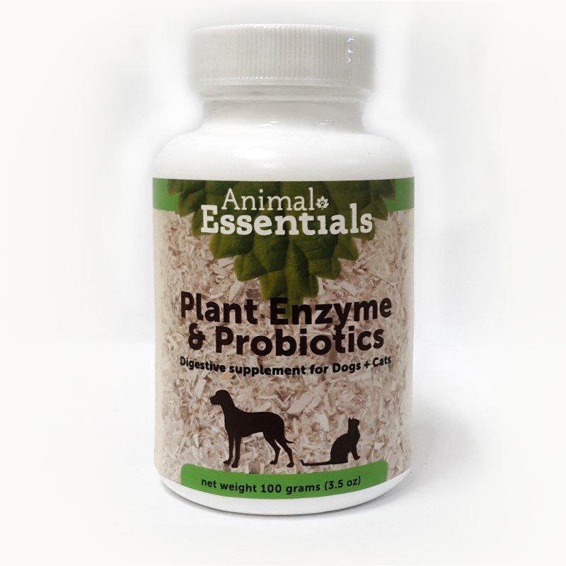 Plant Enzyme & Probiotics, 3.5 oz, Powder