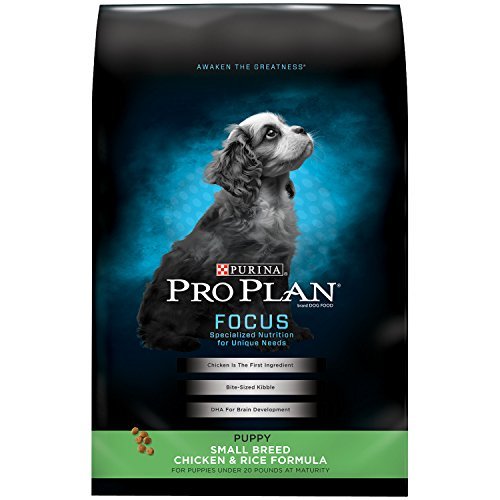 Purina Pro Plan-Chicken & Rice Formula Puppy Small Breed Dry Dog Food