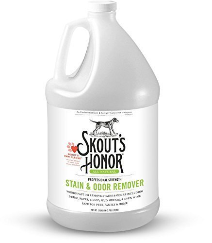 Skout's Honor Pet Stain & Odor Remover