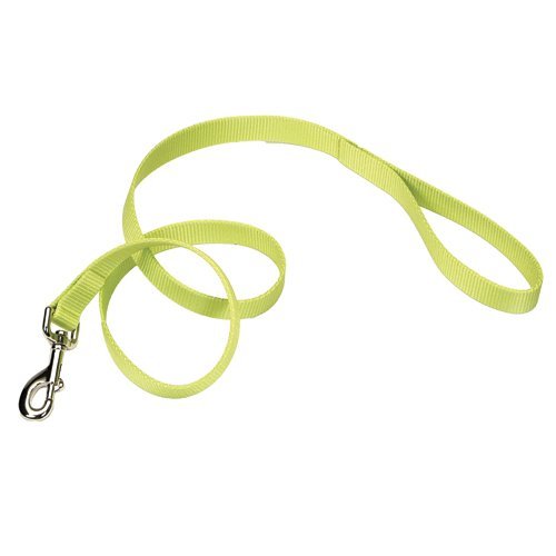 Coastal Single-Ply Dog Leash 5/8"-Lime