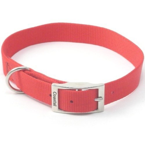 Coastal Pet Products Standard Nylon Large Dog Collar