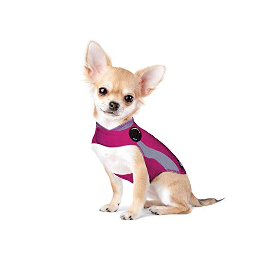 ThunderShirt for Dogs