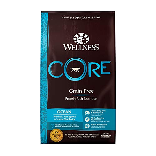 Wellness CORE Ocean Dog Food