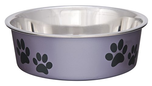 Bella Bowls® Metallic Grape Dog Bowl