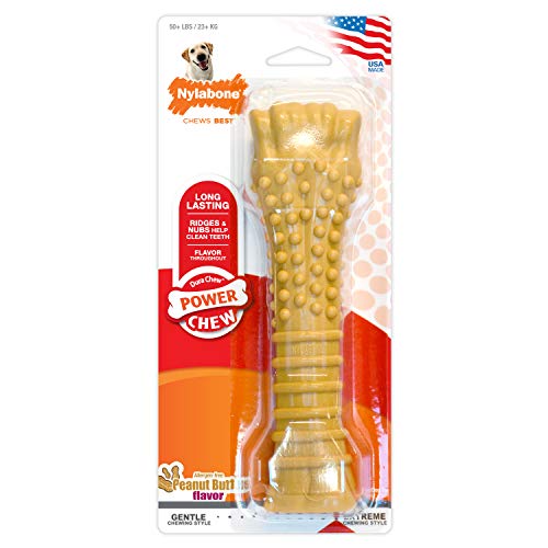 Nylabone Power Chew Textured Durable Dog Chew Toy