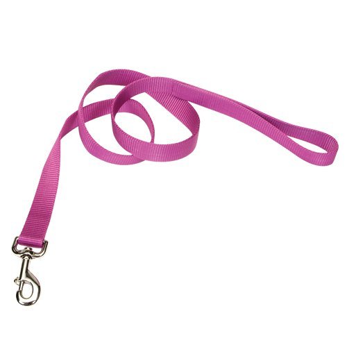 Coastal Single-Ply Dog Leash 1"-Orchid