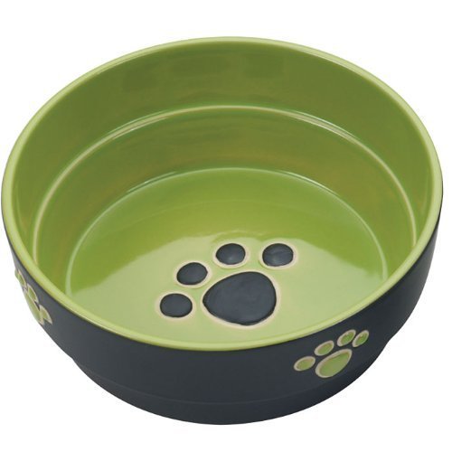 Fresco Stoneware Dog Bowl-Green