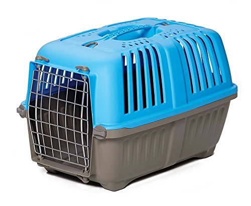Midwest Spree Plastic Pet Carrier-19"