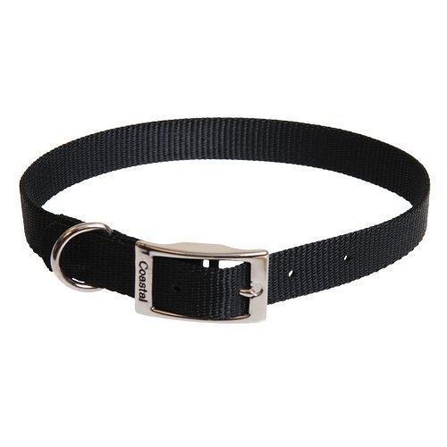 Coastal Pet Products Standard Nylon Medium Dog Collar