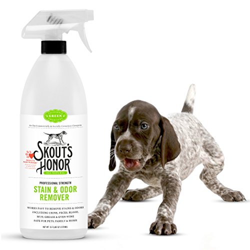 Skout's Honor Stain & Odor Remover Spray, 35oz