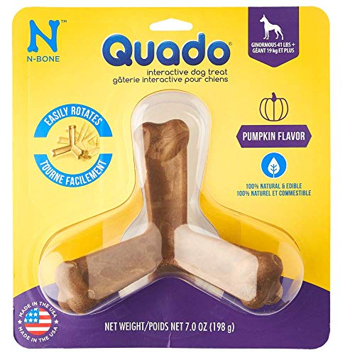 N-Bone® Quado® in Pumpkin