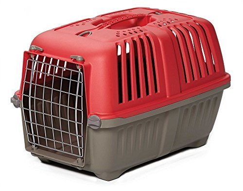 Midwest Spree Plastic Pet Carrier-19"