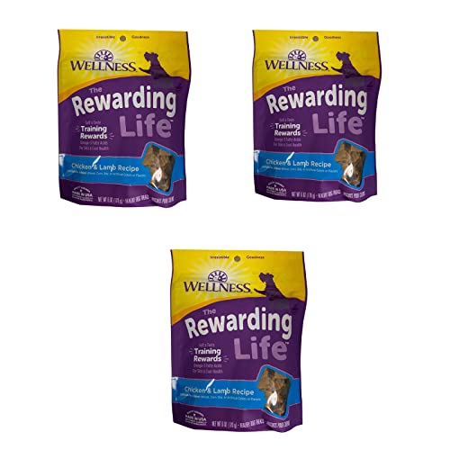 Wellness WellBites Chicken & Lamb Soft Dog Treats