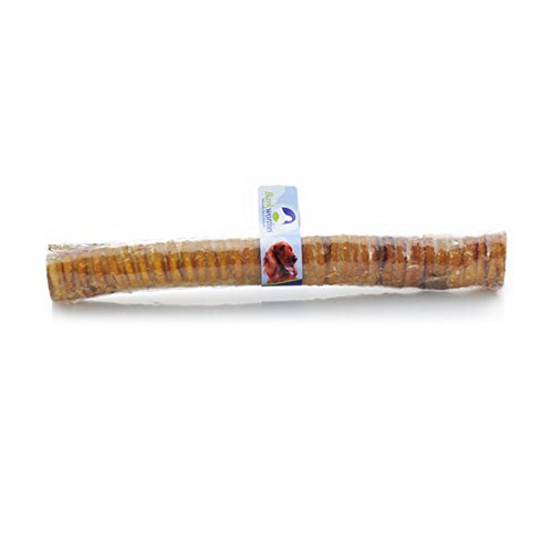 Beef Trachea, 12"-Barkworthies