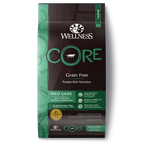 Wellness CORE Wild Game Dog Food