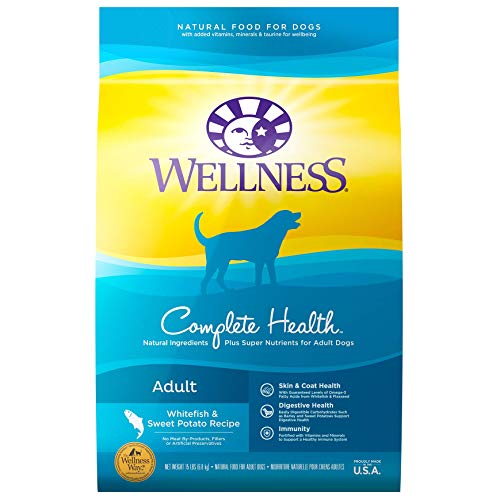 Wellness Complete Health Whitefish & Sweet Potato Recipe Dog Food