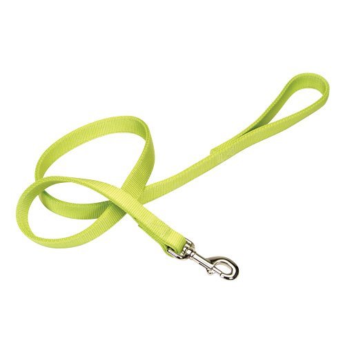 Coastal Double-Ply Dog Leash 1"-Lime
