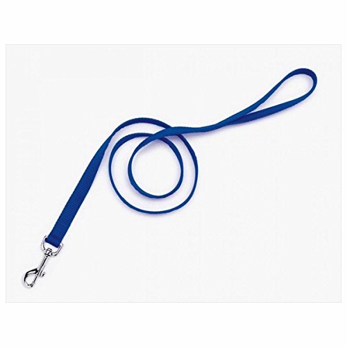 Coastal Single-Ply Dog Leash 1"-Blue