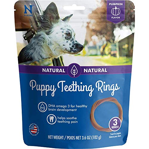 N-Bone® Puppy Teething Rings Pumpkin