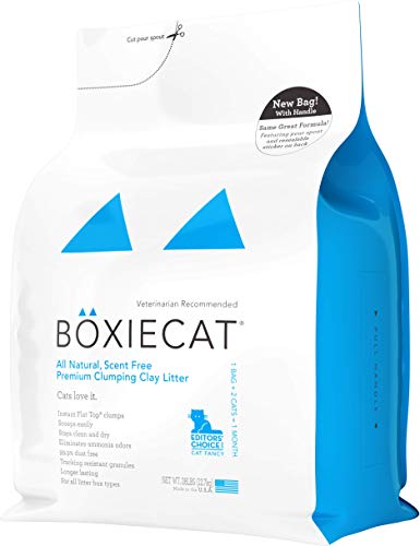 - Natural Bentonite Clumping Clay Cat Litter - Odor Control & Hard Flat Top® Clumps -  Unscented