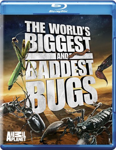 World's Biggest & Baddest Bugs/World's Biggest & Baddest Bugs@Ws/Blu-Ray@Nr