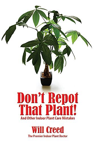 Will Creed Don't Repot That Plant! And Other Indoor Plant Care Mistakes 