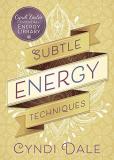 Cyndi Dale Subtle Energy Techniques 