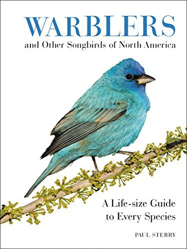 Paul Sterry Warblers And Other Songbirds Of North America A Life Size Guide To Every Species 