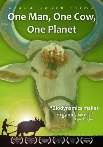 How to Save the World/How to Save the World@MADE ON DEMAND@This Item Is Made On Demand: Could Take 2-3 Weeks For Delivery