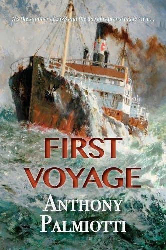 Anthony Palmiotti First Voyage 