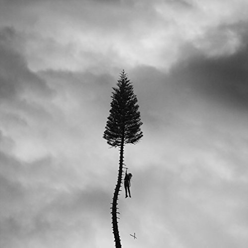 Manchester Orchestra/A Black Mile To The Surface@2 LP