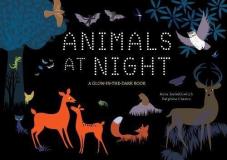 Anne Jank?liowitch Animals At Night A Glow In The Dark Book 