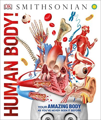 Dk Knowledge Encyclopedia Human Body! 