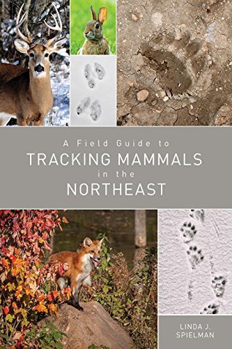 Linda J. Spielman A Field Guide To Tracking Mammals In The Northeast 