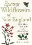 Marilyn J. Dwelley Spring Wildflowers Of New England 