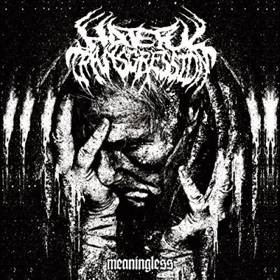 Hateful Transgression/Meaningless
