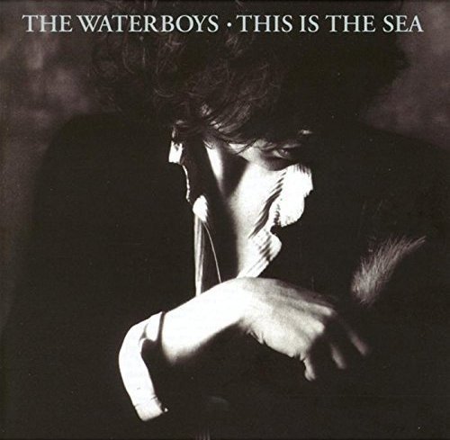 Waterboys/This Is The Sea: Collectors Ed@Import-Gbr@Coll Ed.