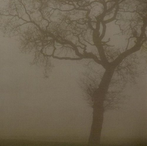 Jesu/Silver@Explicit Version