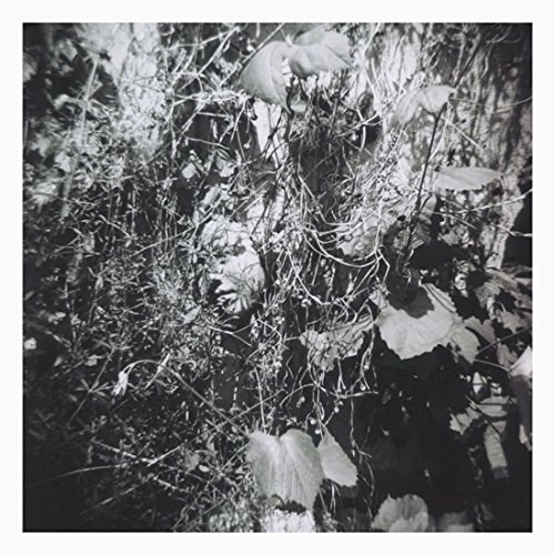 Tim Mislock/Now Is The Last Best Time