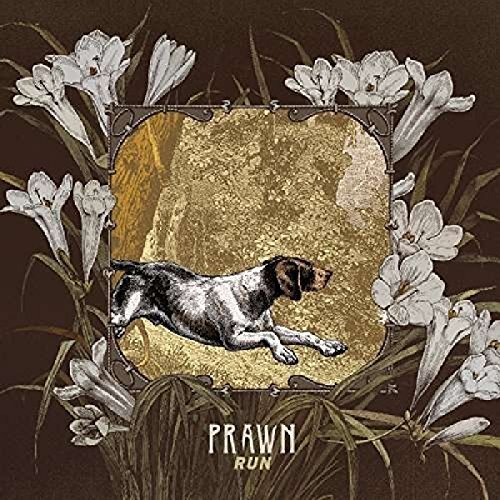 Prawn/Run