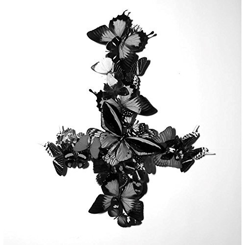 Monarch/Never Forever