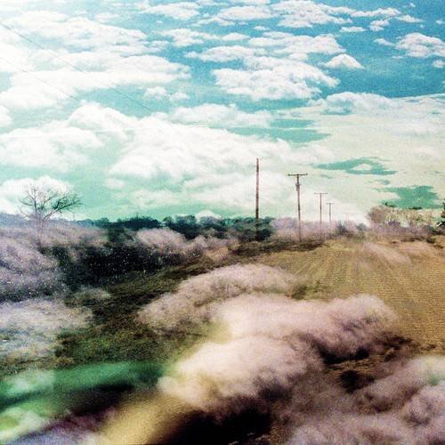 WORLD IS A BEAUTIFUL PLACE & I AM NO LONGER AFRAID TO DIE/Always Foreign (Indie Exclusive Clear Vinyl)