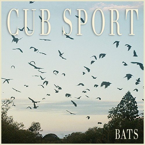 Cub Sport/Bats