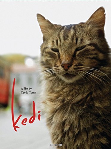 Kedi Kedi 