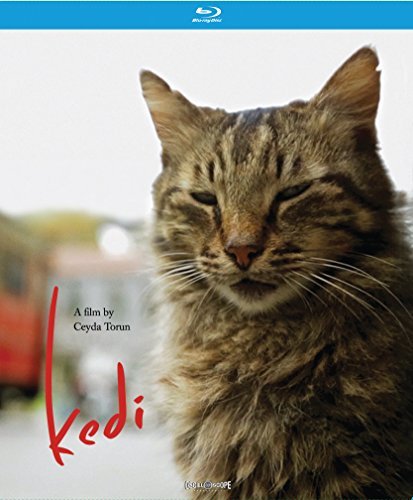 Kedi/Kedi@Blu-Ray@NR