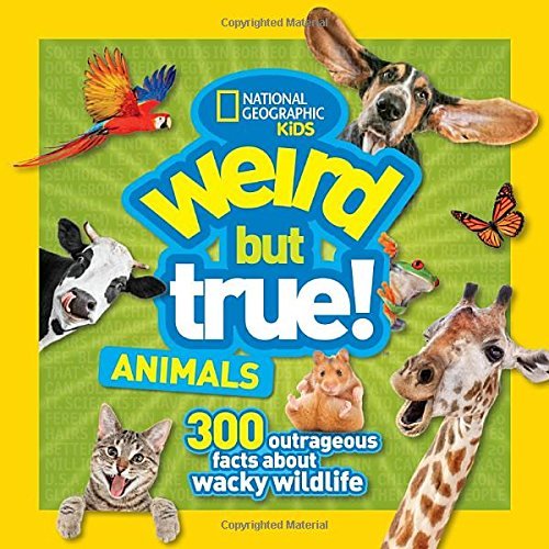 National Kids/Weird But True Animals