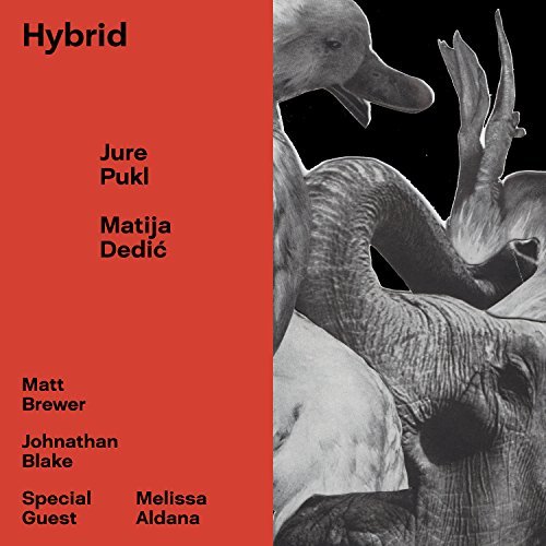 Pukl,Jure / Dedic,Matija/Hybrid