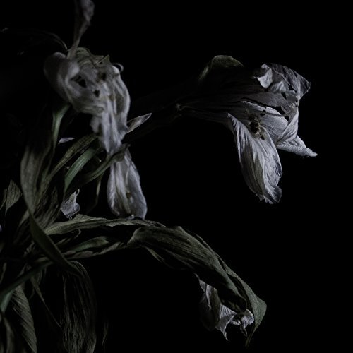 Cavernlight/As We Cup Our Hands & Drink Fr
