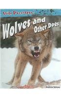 Andrew Solway Wolves And Other Dogs 
